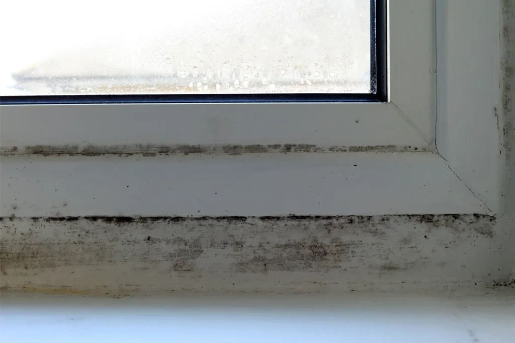 condensation dans un coin de fenêtre avec moisissures