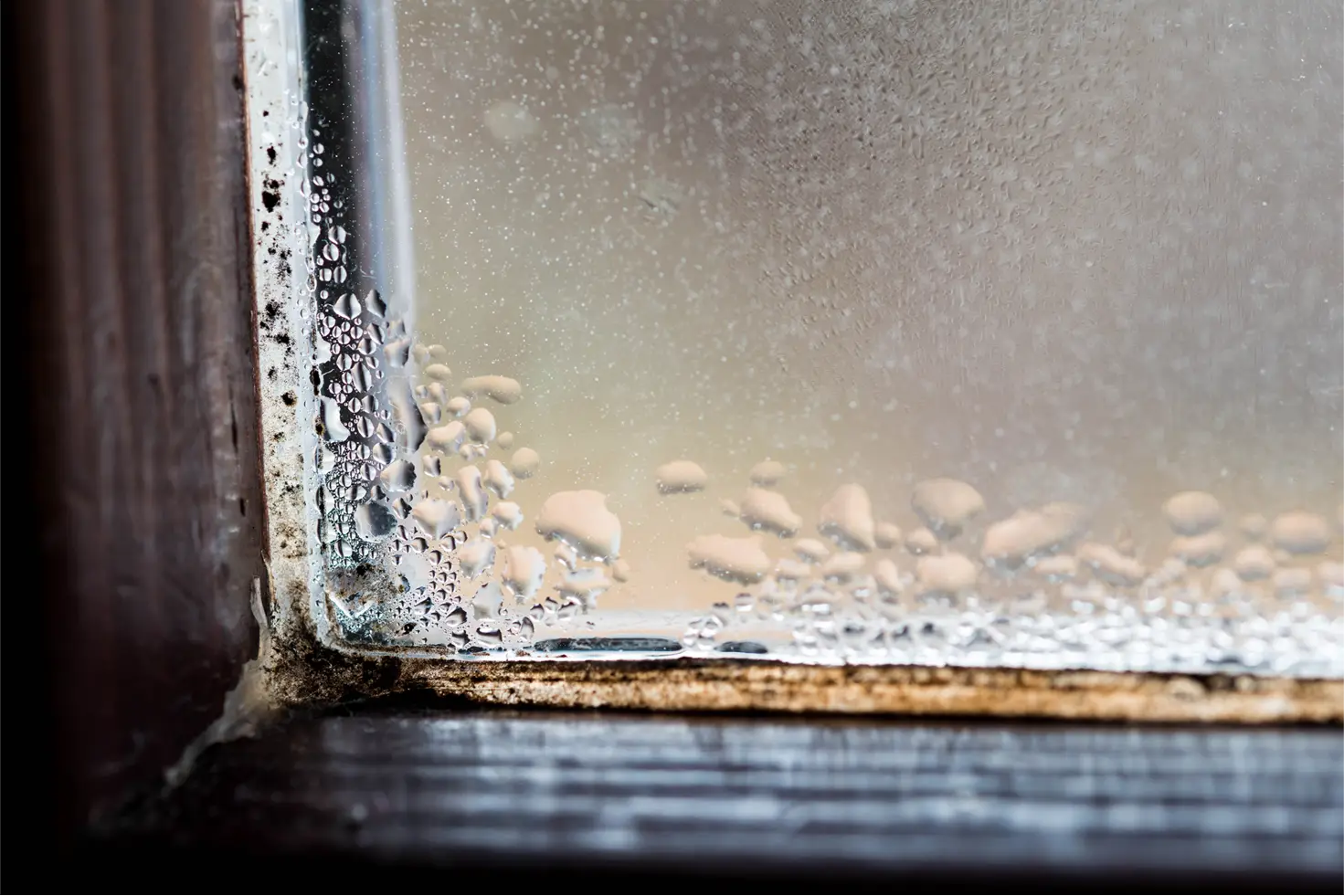 condensation coin de fenetre