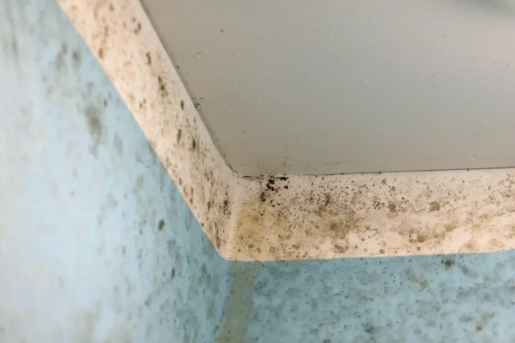 coin de mur au plafond avec moisissure pour cause de condensation