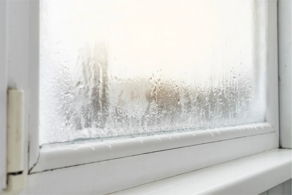 condensation et buée sur une vitre