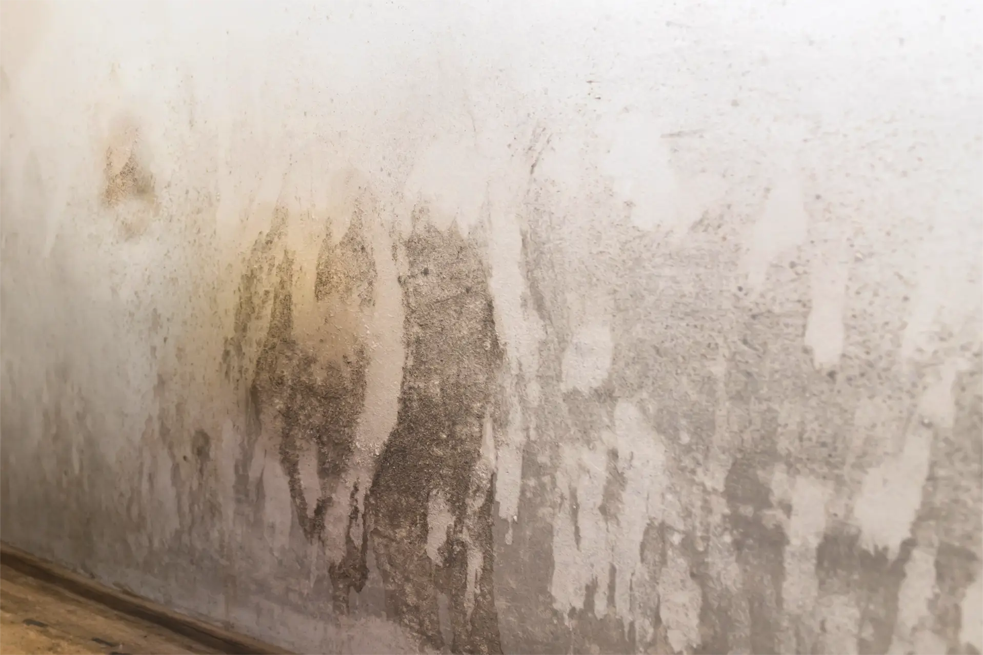moisissure mur intérieur