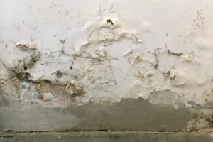 peinture qui cloque mur remontée capillaire