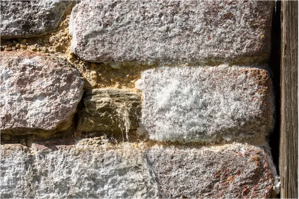 salpêtre mur en pierre