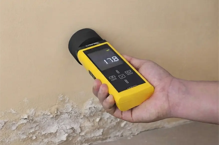 Diagnostic salpêtre avec outil de mesure professionnel